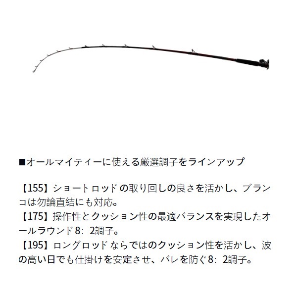 24アナリスターヤリイカ